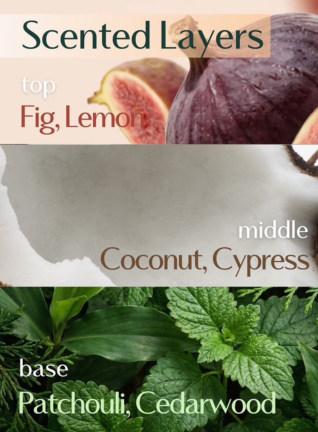 Nearby Body Wash Dive In Fig (300ml)