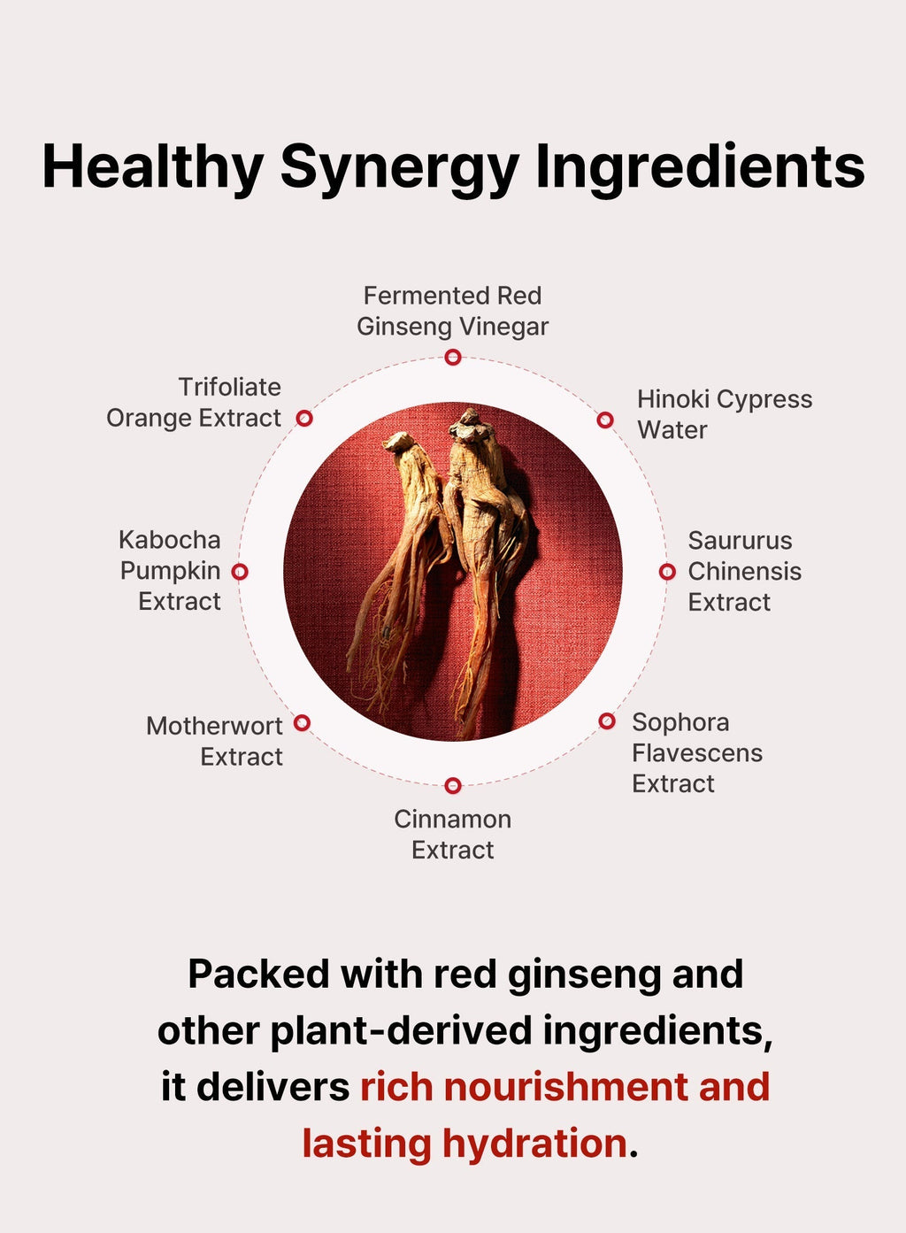 Bonyongo Red Ginseng Vinegar Eye Cream (30ml)