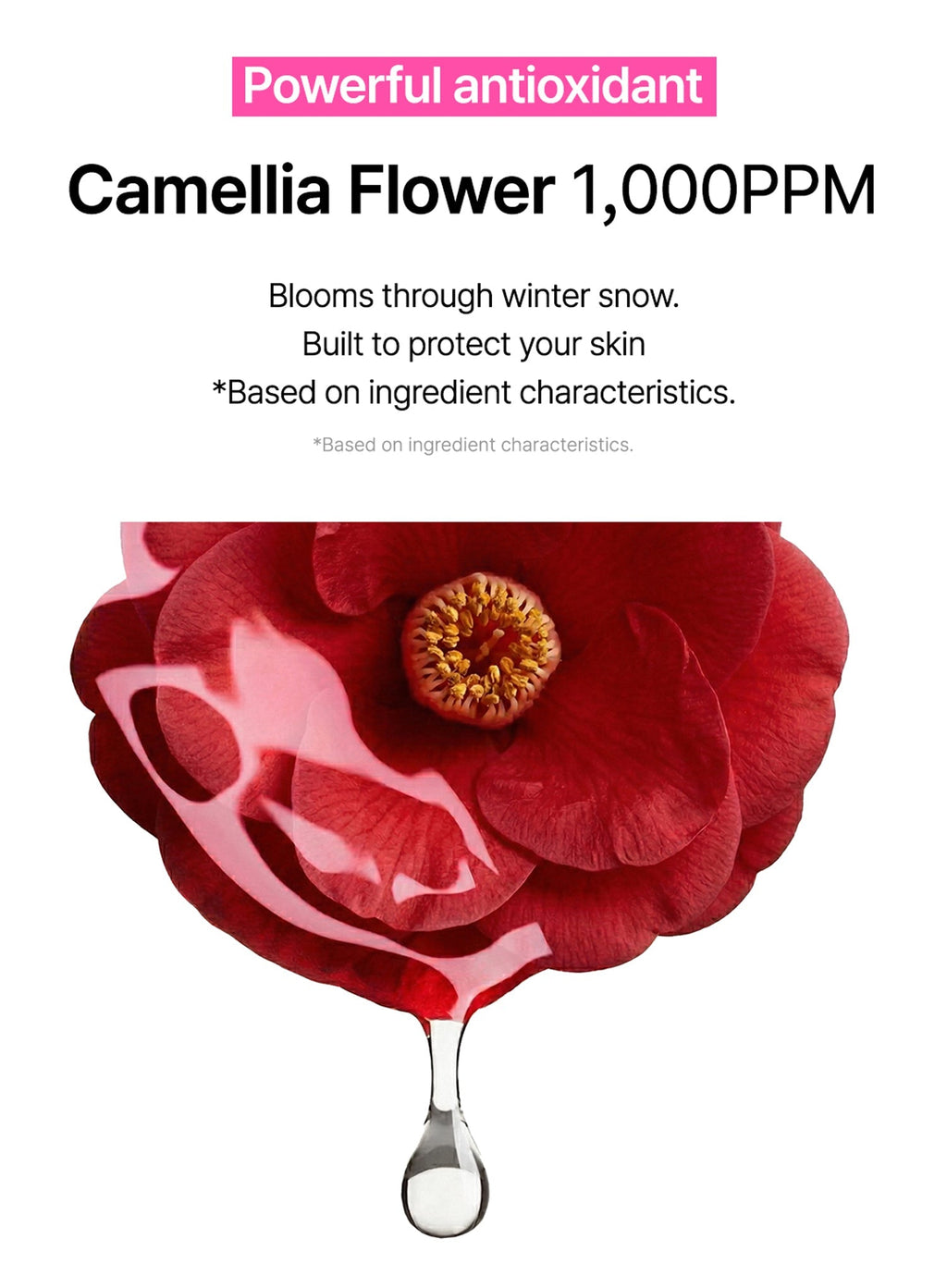 Camellia TXA Chimtok™ Serum (30ml)