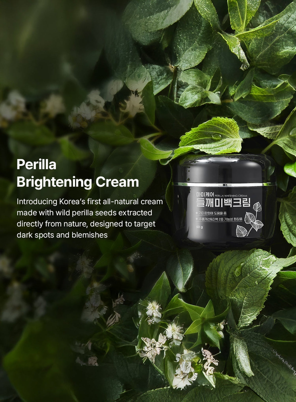 Perilla Brightening Cream Plus (50g)