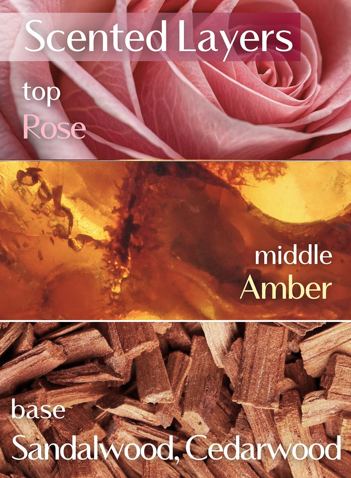 Nearby Scented Balm Still A Rose (3g)