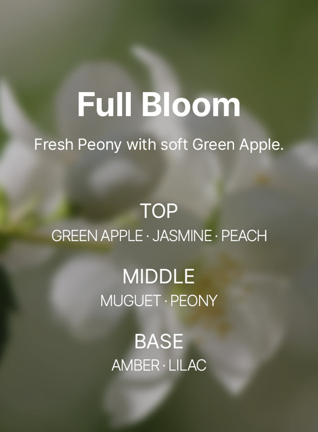 Perfume Glow Milk Hair Essence Full Bloom (80ml)
