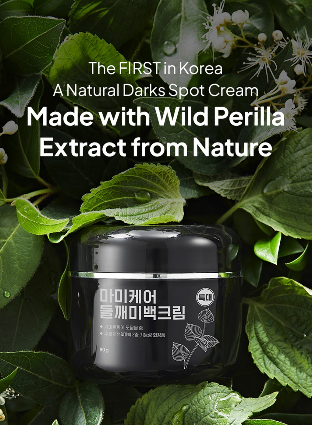 Perilla Brightening Cream Extra Large (80g)