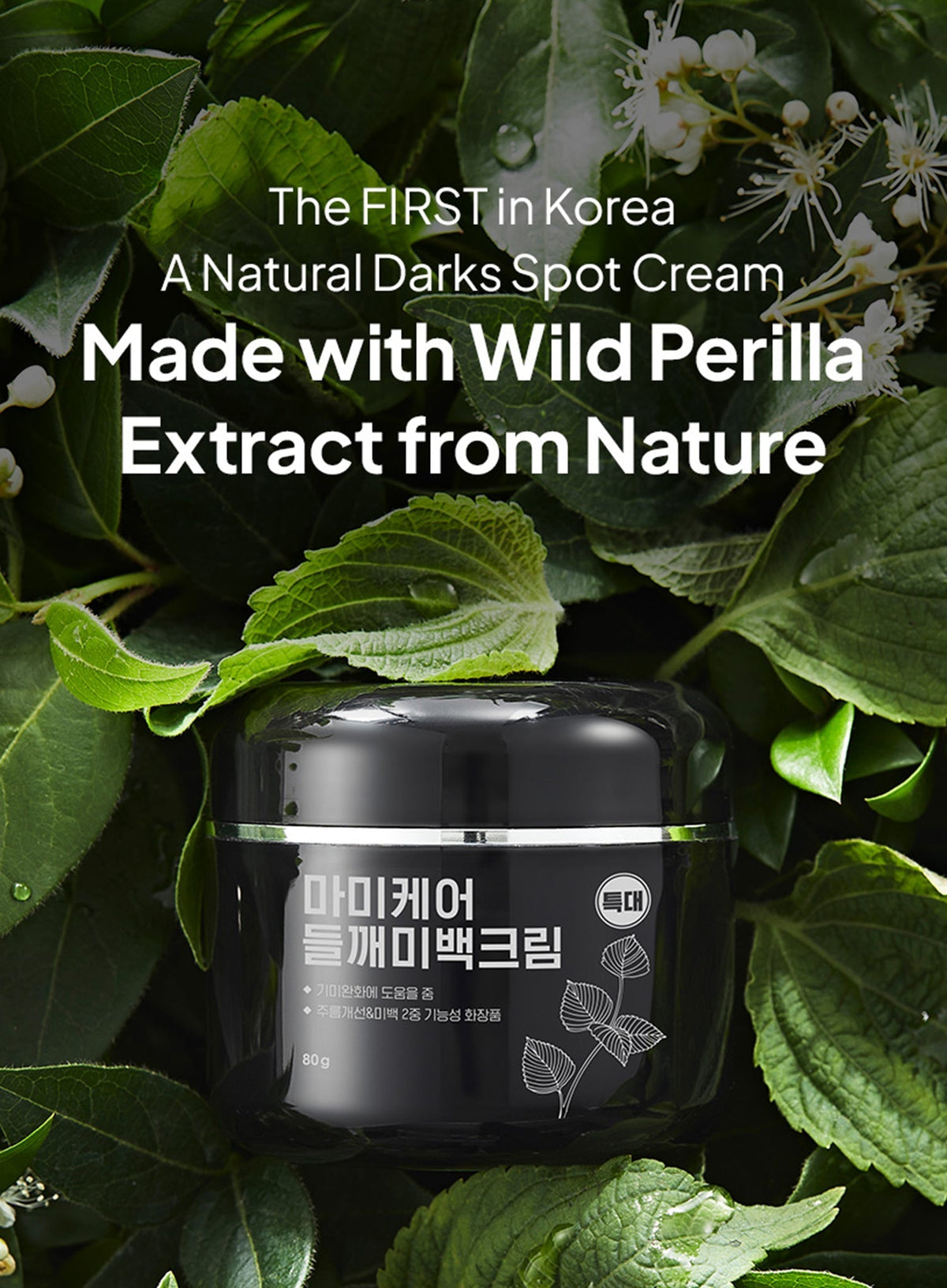 Perilla Brightening Cream Extra Large (80g)