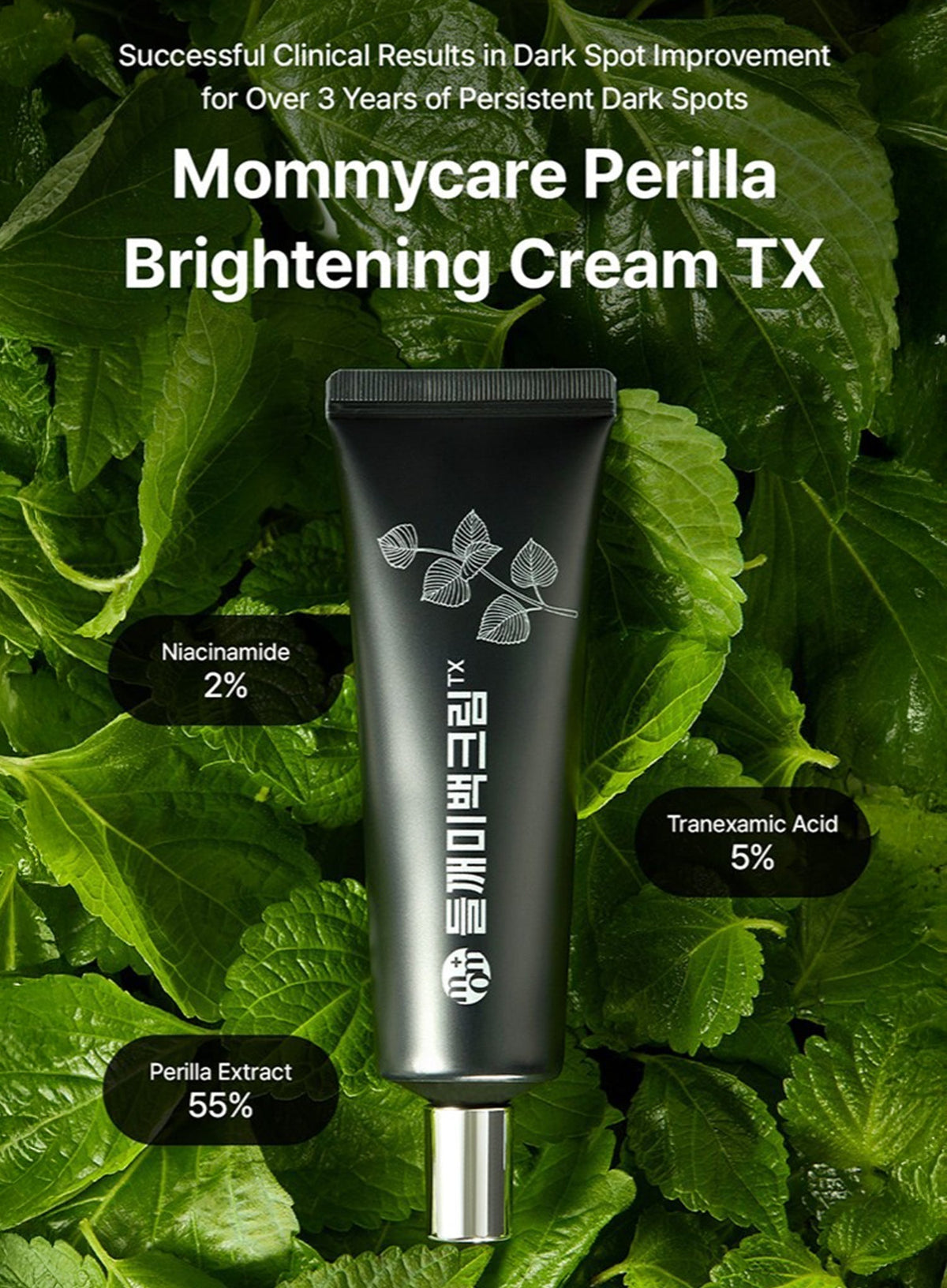 Perilla Brightening Cream TX Duo Set (50g*2ea)