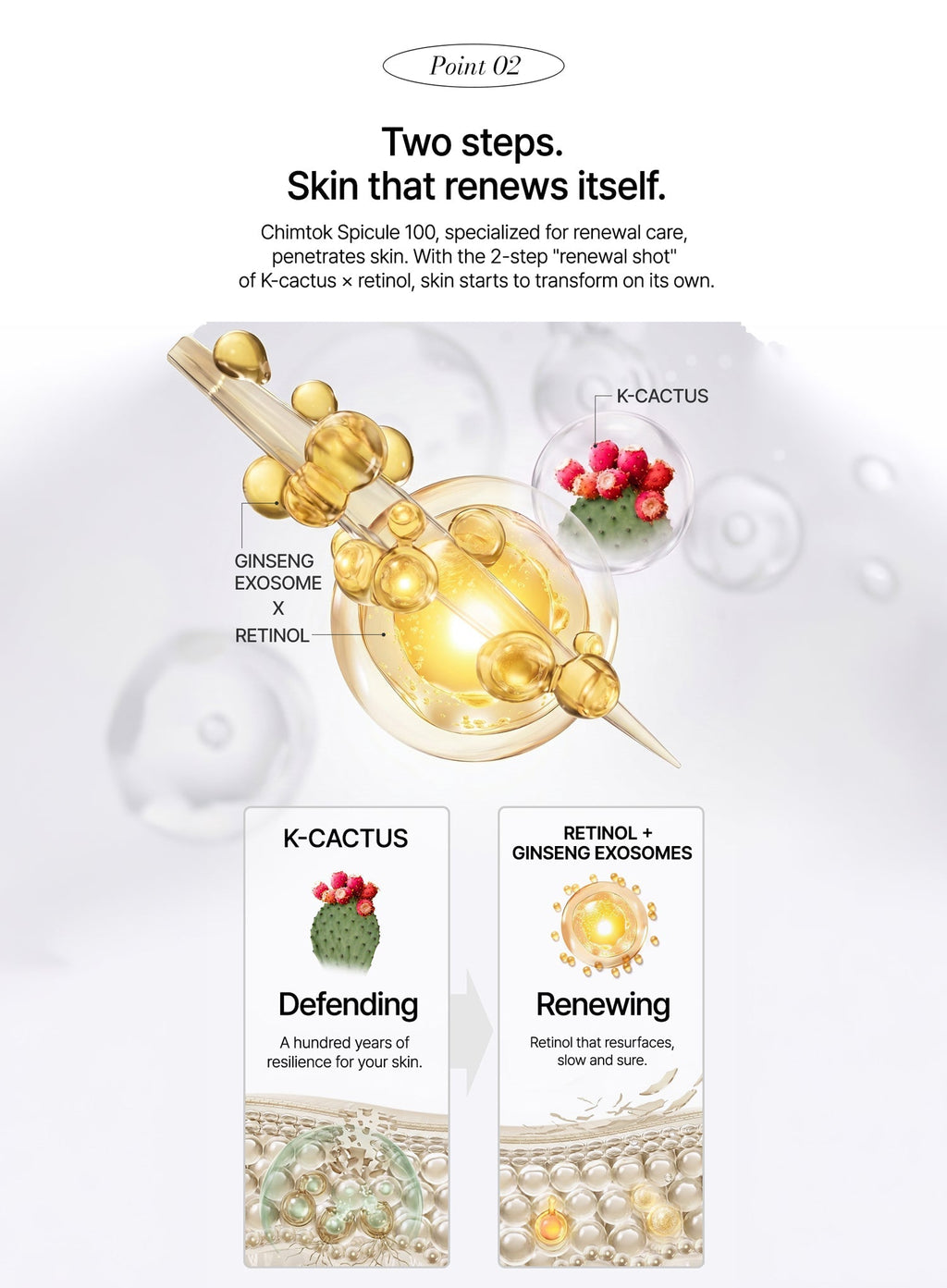 K-Cactus Retinol Chimtok™ Serum (30ml)