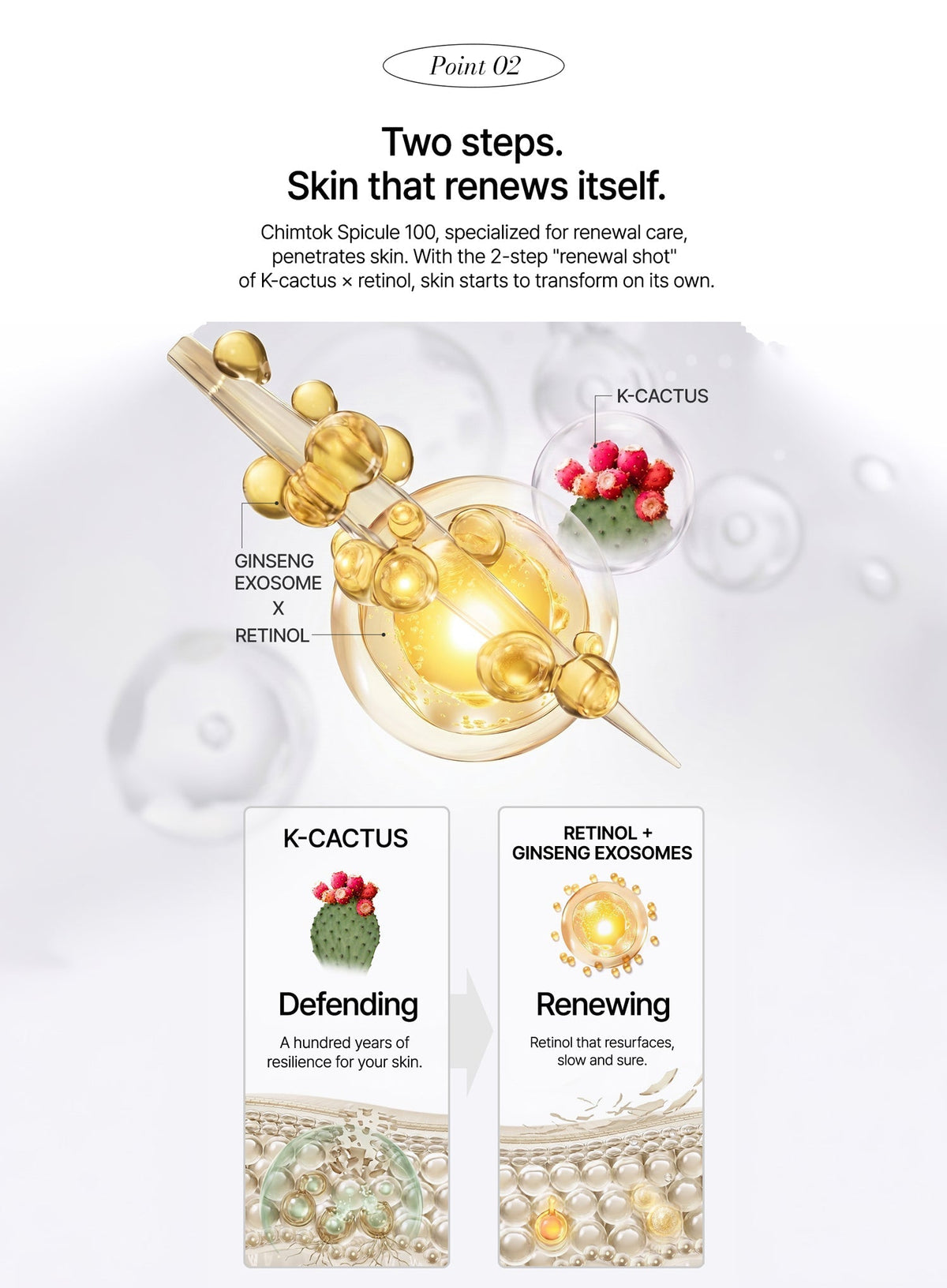 K-Cactus Retinol Chimtok™ Serum (30ml)