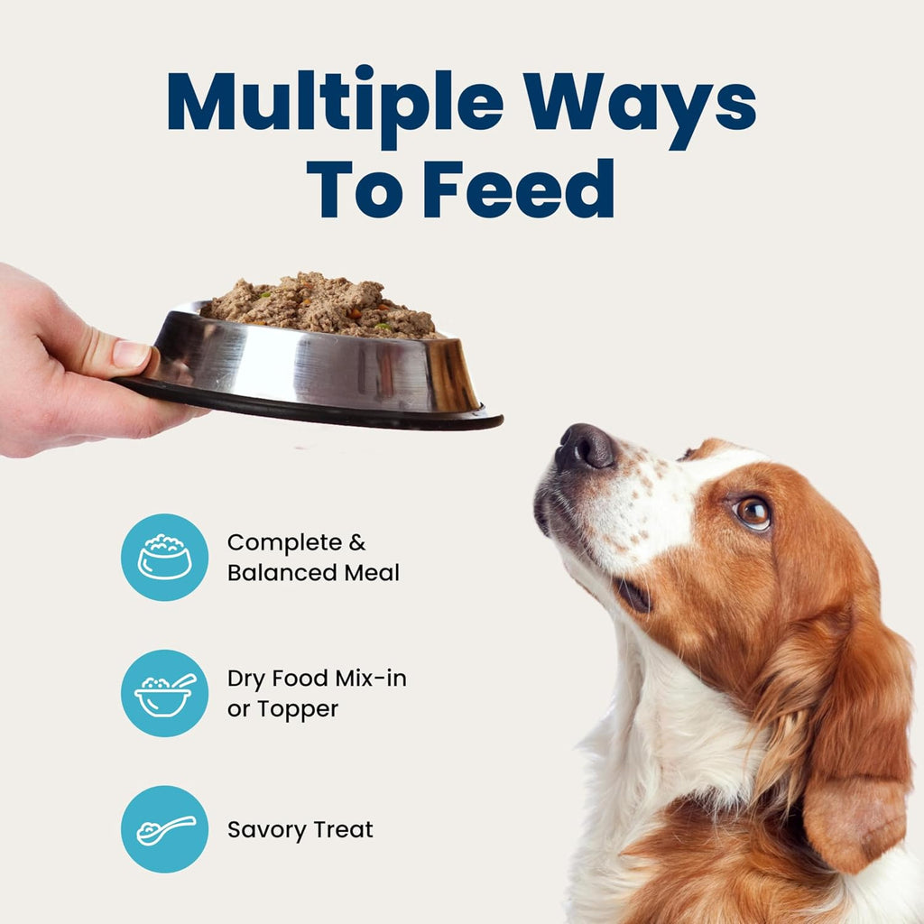 Blue Buffalo Homestyle Recipe Lamb Adult Wet Dog Food, 12.5 oz, 12 ct | Lamb Dinner with Garden Vegetables, No Chicken By-Product, Corn, Wheat, or Soy
