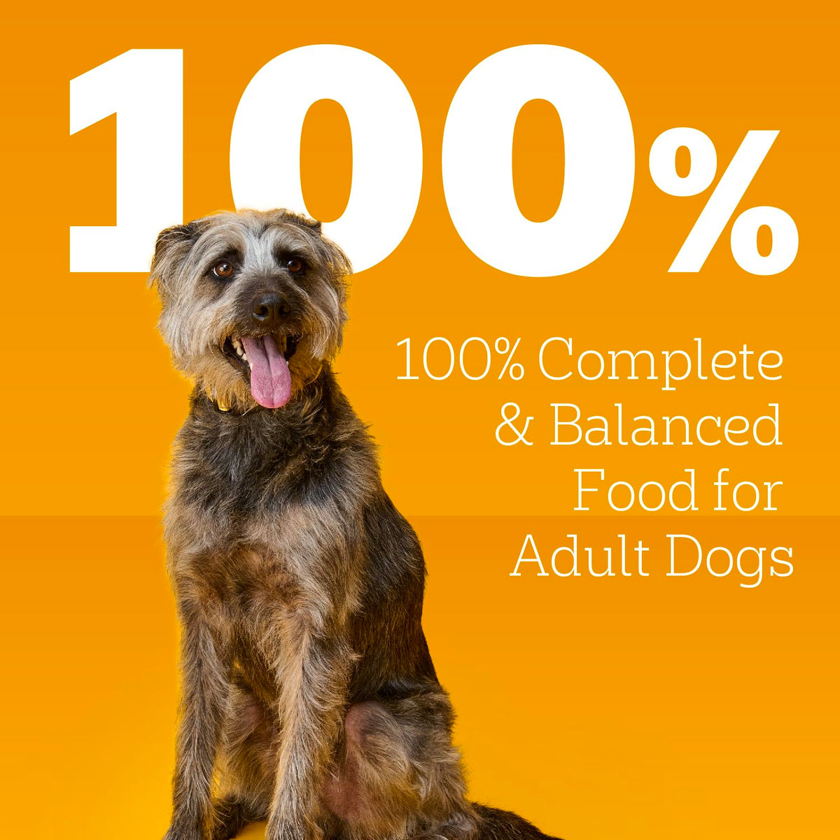 Pedigree Choice Cuts In Gravy Adult Canned Soft Wet Dog Food With Beef, 22 oz. Cans (12 Count, Pack of 1) | Beef in gravy, lean muscle support, 50%+ water for hydration, topper or complete meal for adult dogs, no-mess easy-open cans