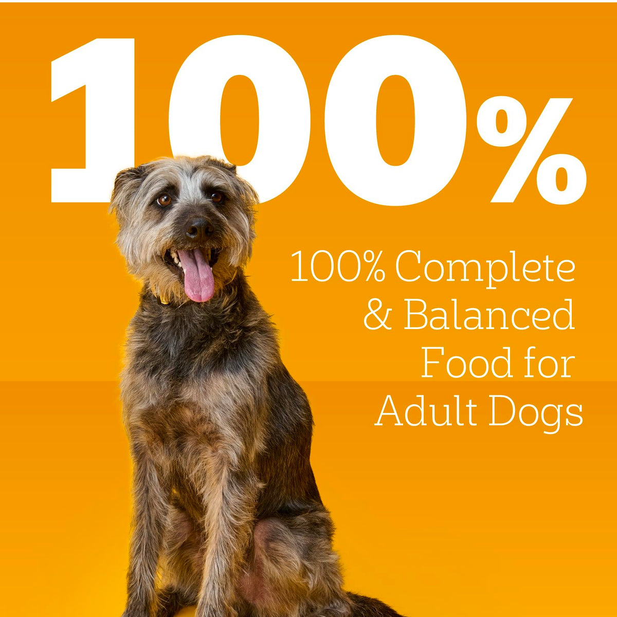Pedigree Choice Cuts In Gravy Adult Canned Soft Wet Dog Food With Beef, 22 oz. Cans (12 Count, Pack of 1) | Beef in gravy, lean muscle support, 50%+ water for hydration, topper or complete meal for adult dogs, no-mess easy-open cans