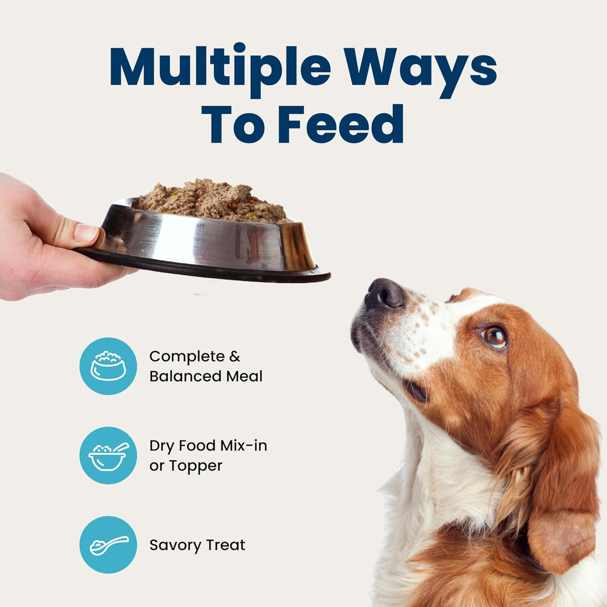 Blue Buffalo Homestyle Recipe Lamb Adult Wet Dog Food, 12.5 oz, 12 ct | Lamb Dinner with Garden Vegetables, No Chicken By-Product, Corn, Wheat, or Soy