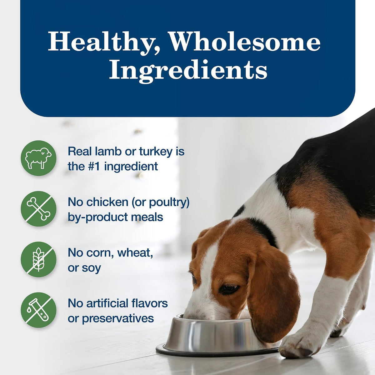 Blue Buffalo Homestyle Recipe Lamb Adult Wet Dog Food, 12.5 oz, 12 ct | Lamb Dinner with Garden Vegetables, No Chicken By-Product, Corn, Wheat, or Soy