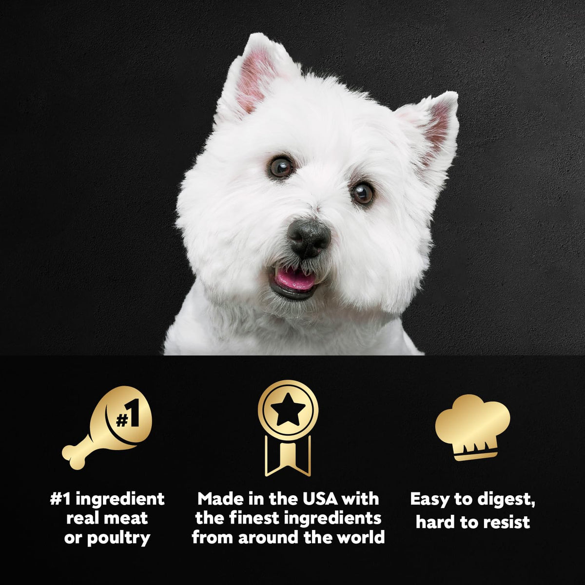 Cesar Classic Loaf in Sauce Wet Dog Food, Meaty Selects, 3.5 oz, 24 Count | Made in USA, Real beef or chicken #1 ingredient, no fillers or artificial flavors, slow-cooked, easy peel trays