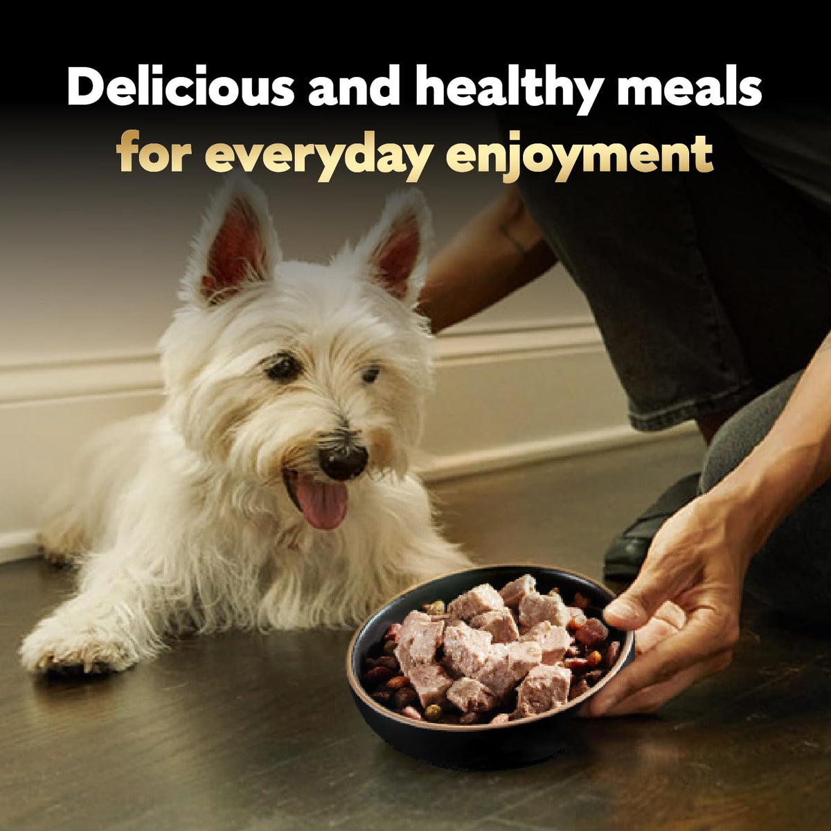 Cesar Classic Loaf in Sauce Wet Dog Food, Meaty Selects, 3.5 oz, 24 Count | Made in USA, Real beef or chicken #1 ingredient, no fillers or artificial flavors, slow-cooked, easy peel trays