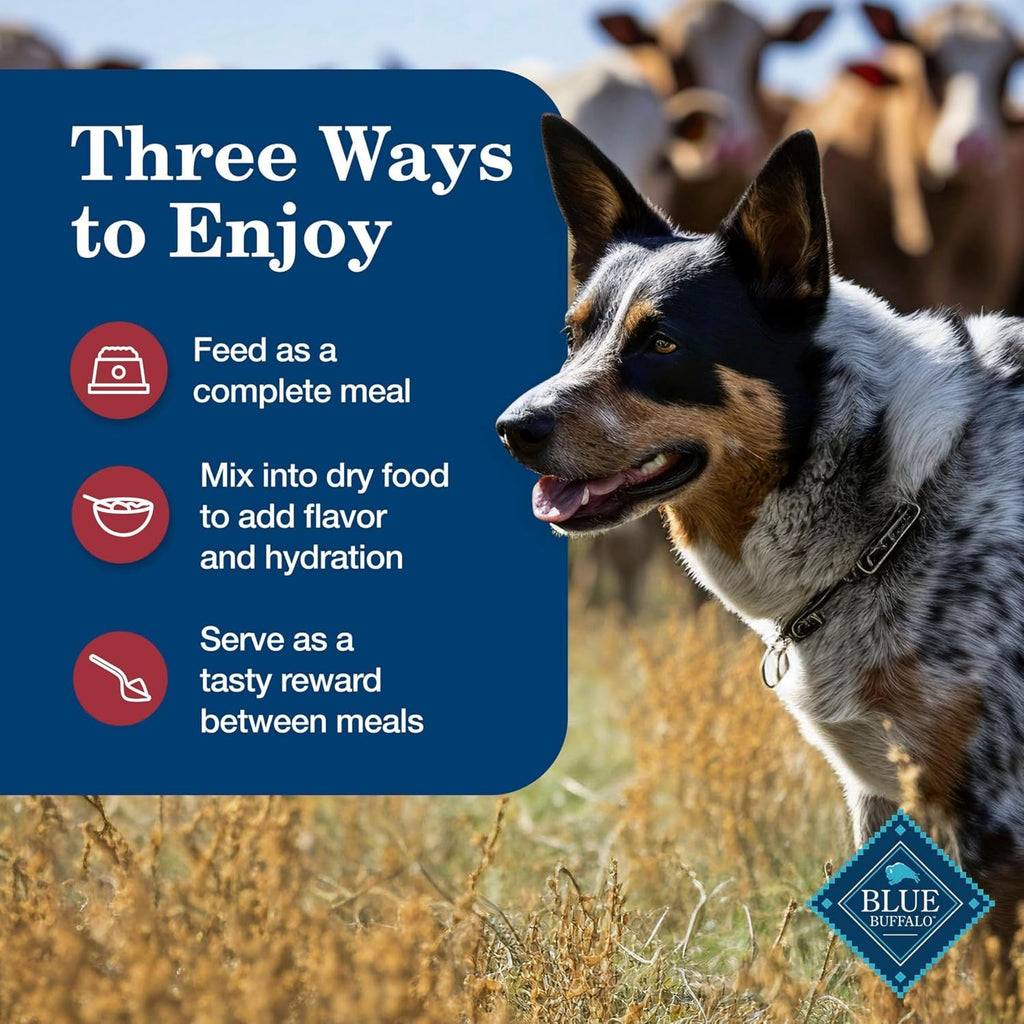Blue Buffalo Homestyle Recipe Lamb Adult Wet Dog Food, 12.5 oz, 12 ct | Lamb Dinner with Garden Vegetables, No Chicken By-Product, Corn, Wheat, or Soy
