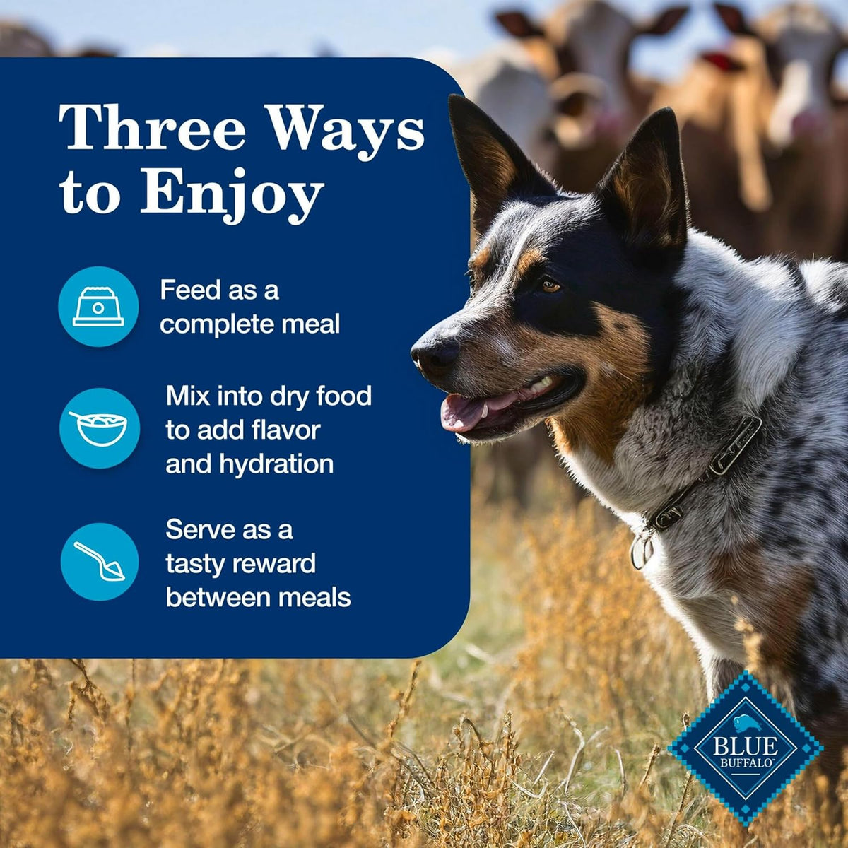 Blue Buffalo Homestyle Recipe Lamb Adult Wet Dog Food, 12.5 oz, 12 ct | Lamb Dinner with Garden Vegetables, No Chicken By-Product, Corn, Wheat, or Soy