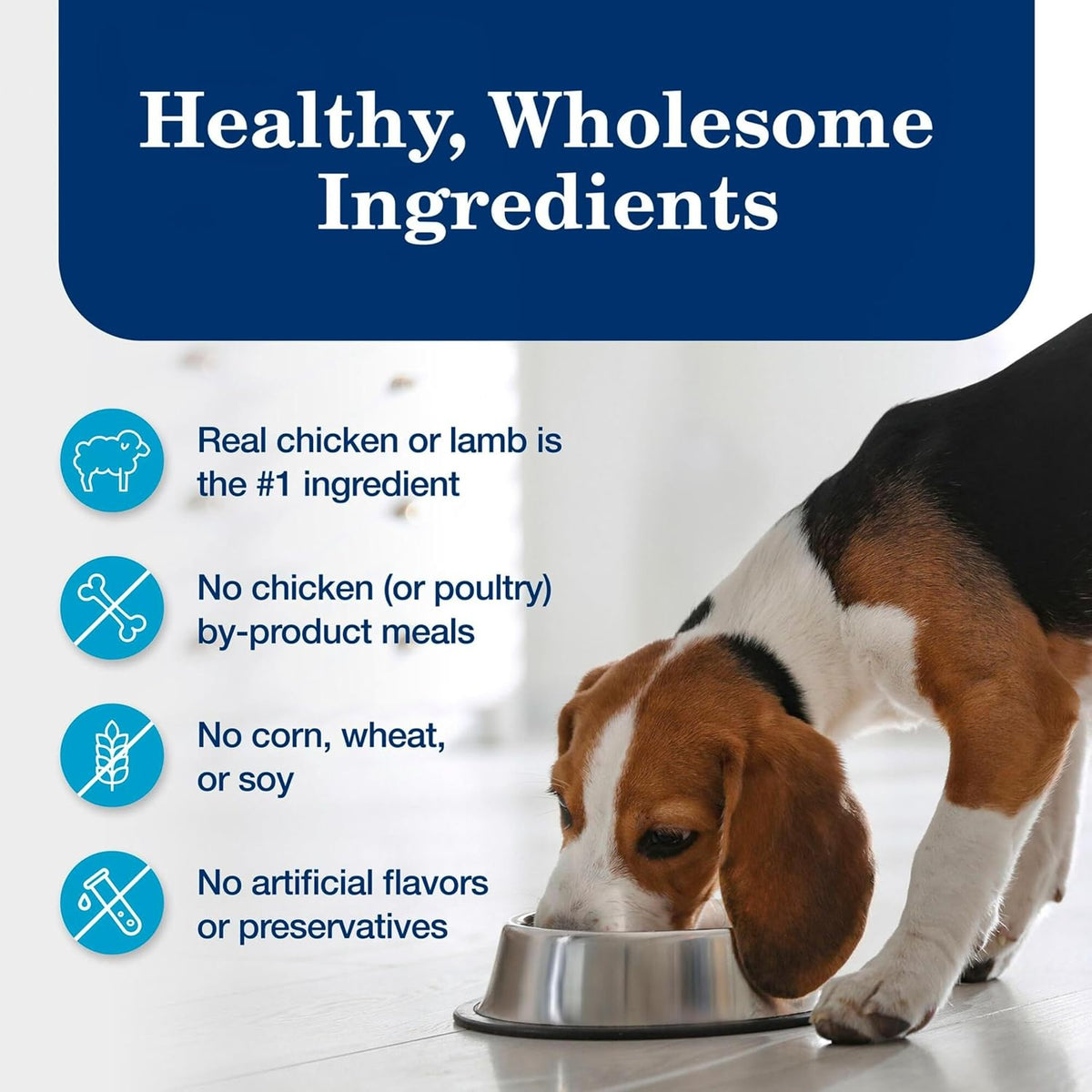 Blue Buffalo Homestyle Recipe Lamb Adult Wet Dog Food, 12.5 oz, 12 ct | Lamb Dinner with Garden Vegetables, No Chicken By-Product, Corn, Wheat, or Soy
