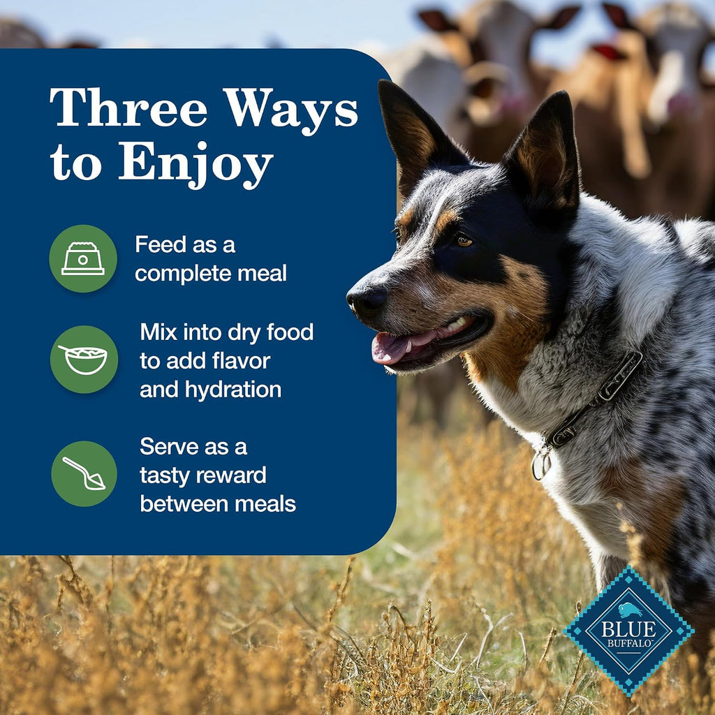 Blue Buffalo Homestyle Recipe Lamb Adult Wet Dog Food, 12.5 oz, 12 ct | Lamb Dinner with Garden Vegetables, No Chicken By-Product, Corn, Wheat, or Soy