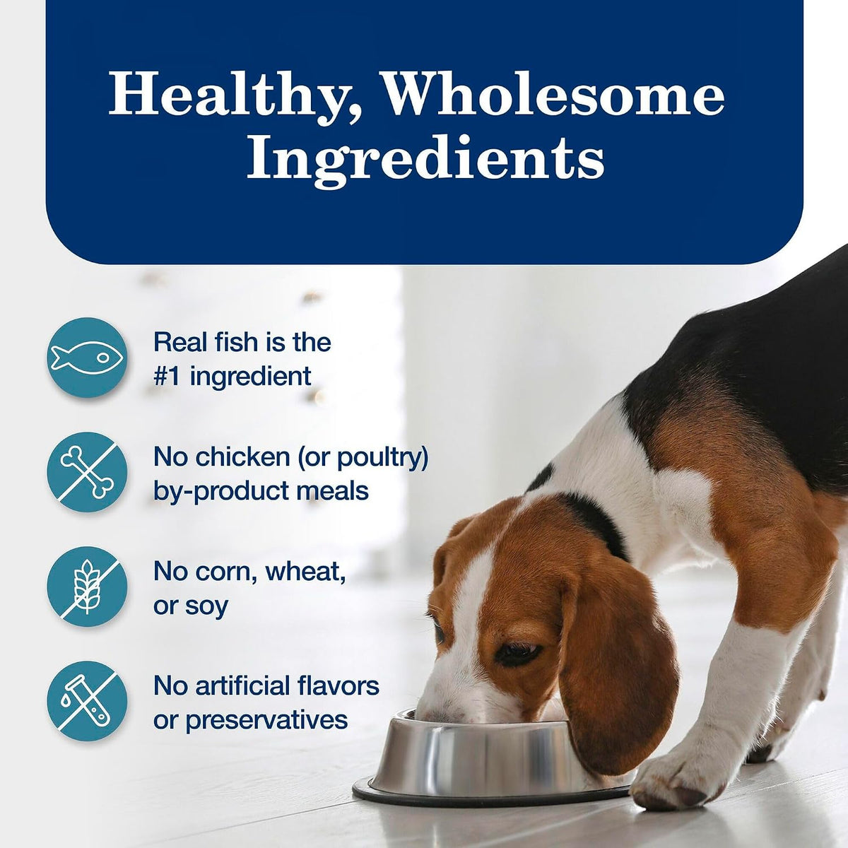 Blue Buffalo Homestyle Recipe Lamb Adult Wet Dog Food, 12.5 oz, 12 ct | Lamb Dinner with Garden Vegetables, No Chicken By-Product, Corn, Wheat, or Soy