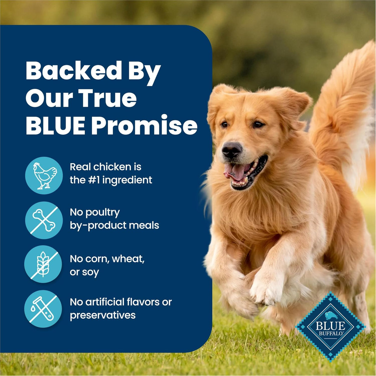 Blue Buffalo Homestyle Recipe Lamb Adult Wet Dog Food, 12.5 oz, 12 ct | Lamb Dinner with Garden Vegetables, No Chicken By-Product, Corn, Wheat, or Soy