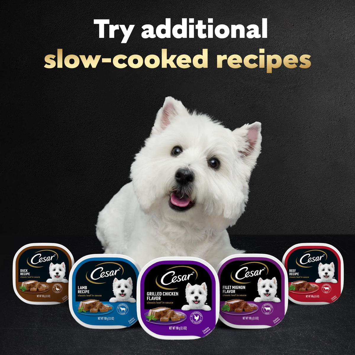 Cesar Classic Loaf in Sauce Wet Dog Food, Meaty Selects, 3.5 oz, 24 Count | Made in USA, Real beef or chicken #1 ingredient, no fillers or artificial flavors, slow-cooked, easy peel trays