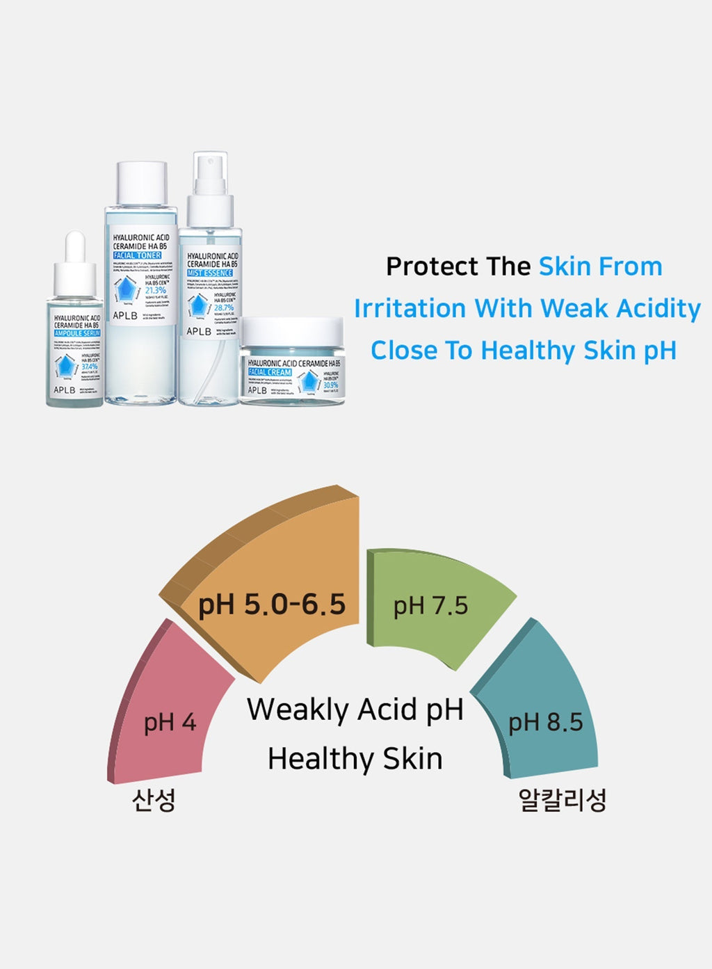 Hyaluronic Acid Ceramide HA B5 Mist Essence (105ml)