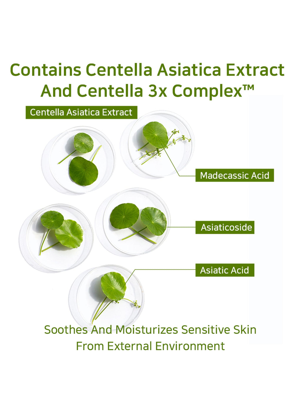 Hyaluronic Acid Ceramide HA B5 Mist Essence (105ml)