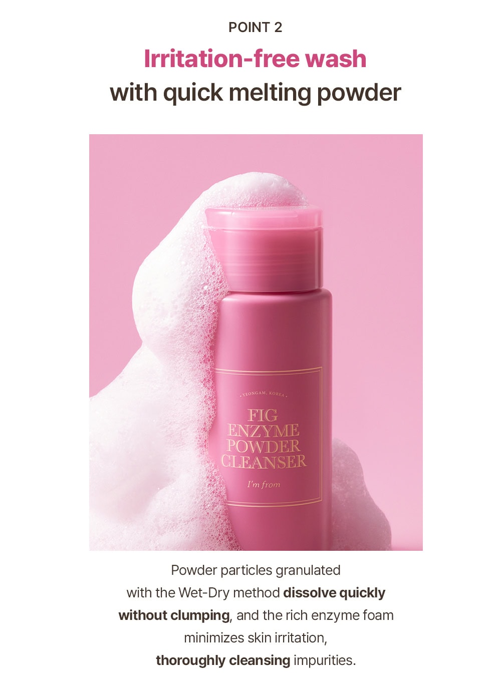 Fig Enzyme Powder Cleanser (50g)