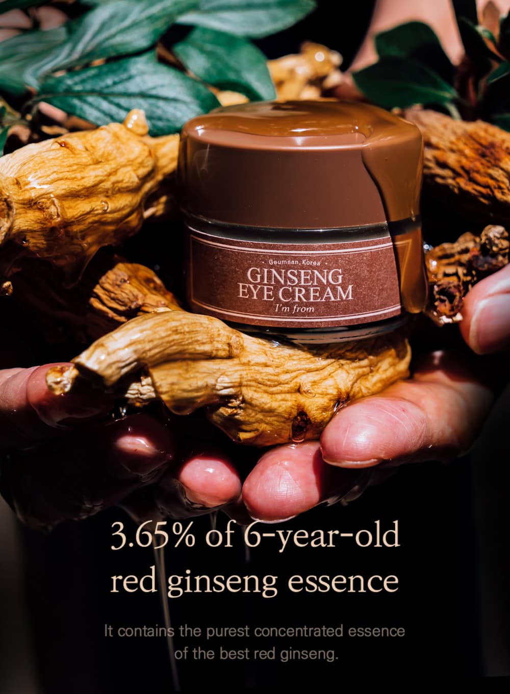 Ginseng Eye Cream (30g)