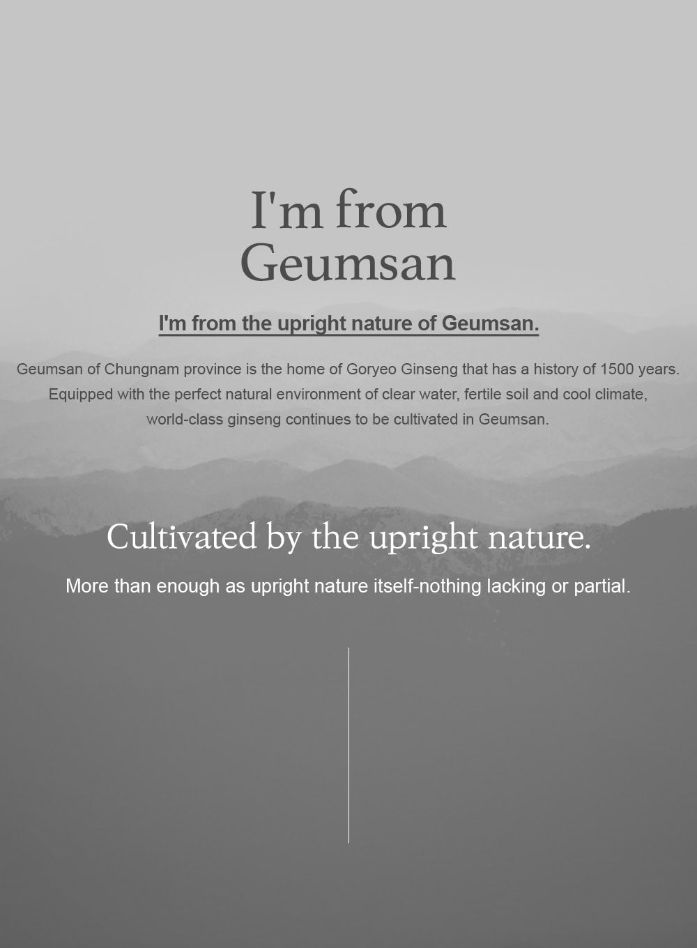 Ginseng Eye Cream (30g)