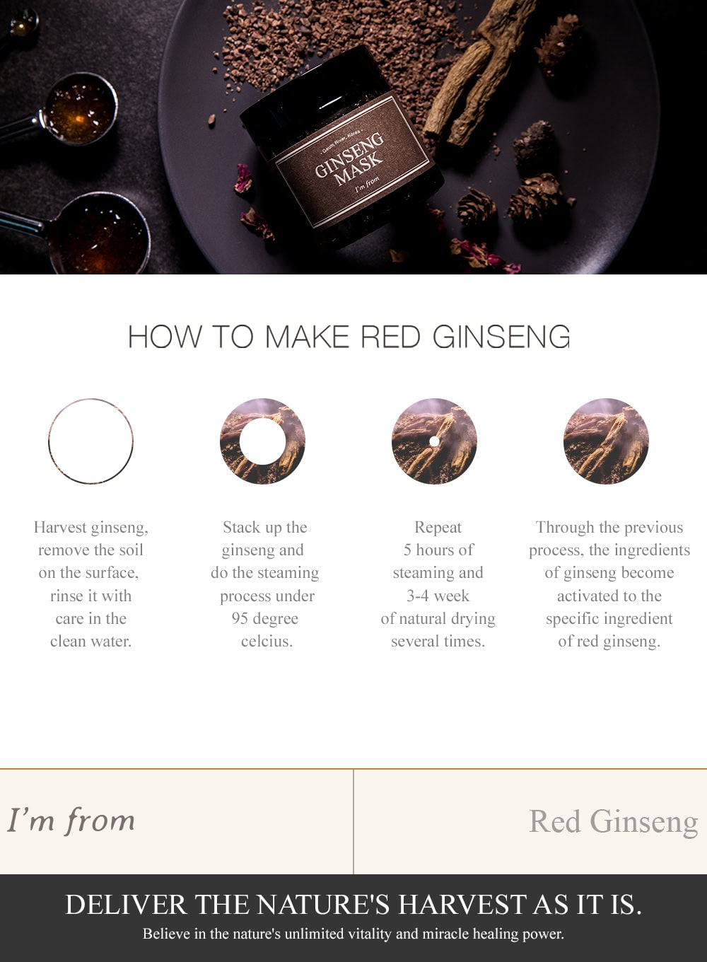 Ginseng Mask (120g)
