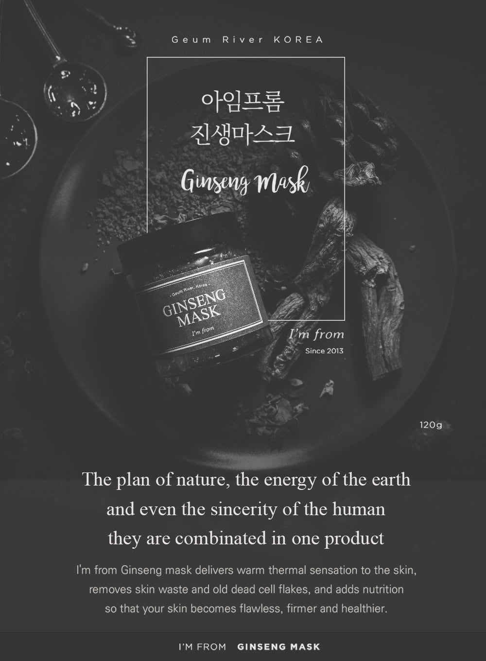 Ginseng Mask (120g)