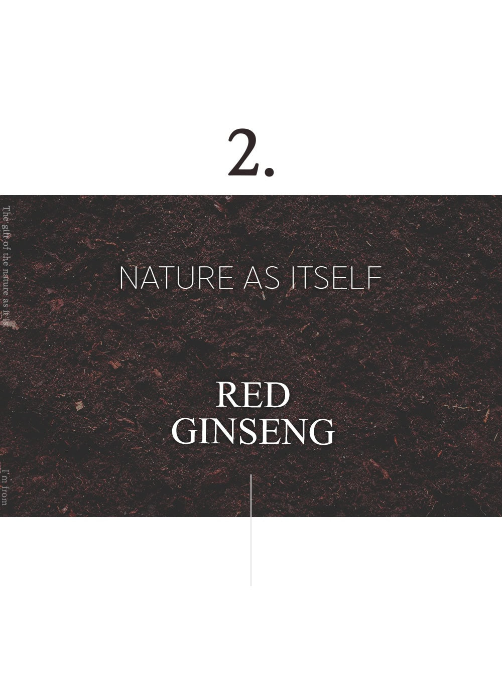 Ginseng Mask (120g)