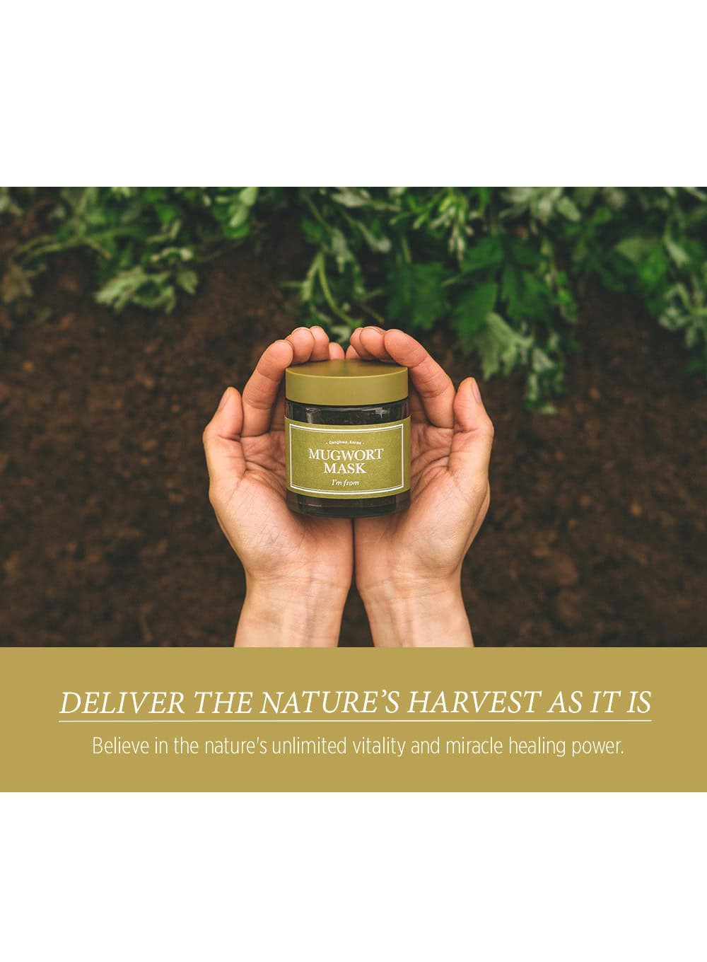 Mugwort Mask (110g)