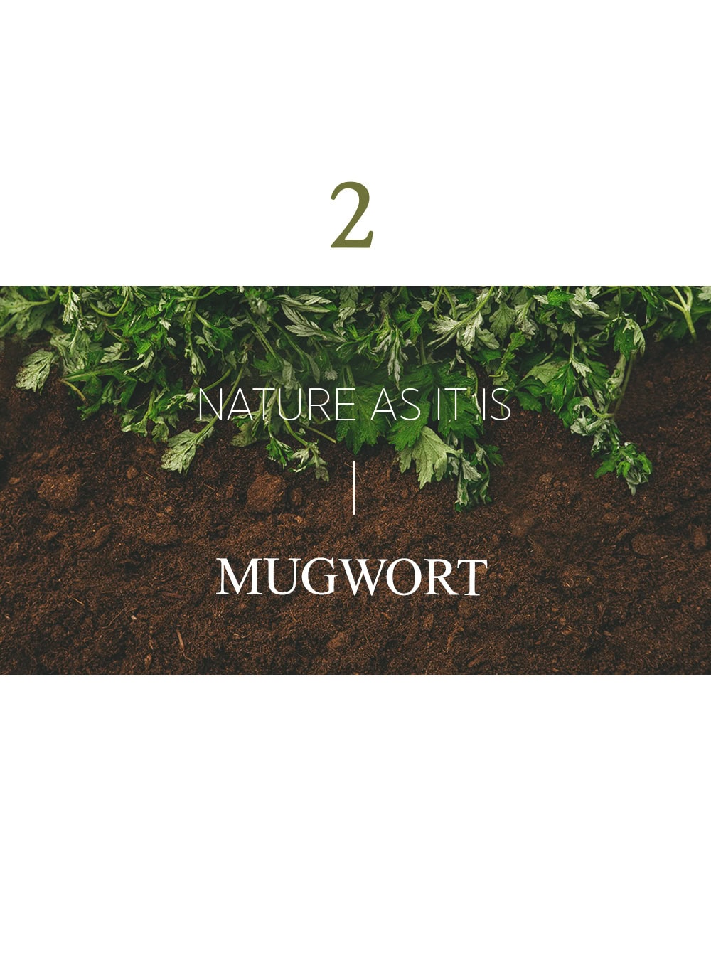 Mugwort Mask (110g)