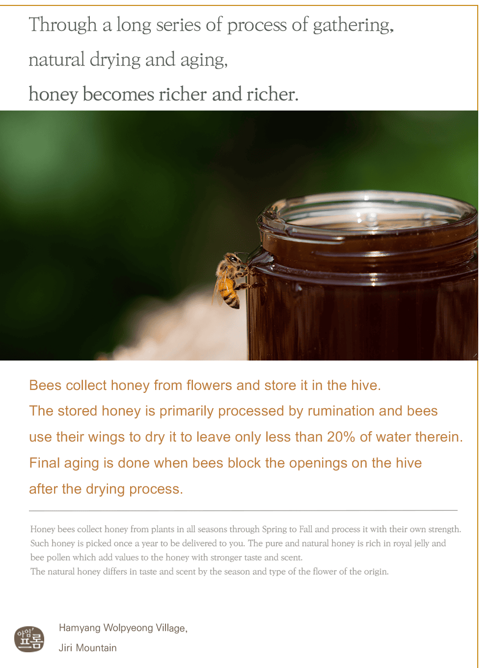 Honey Glow Cream Duo Set (50g*2ea)