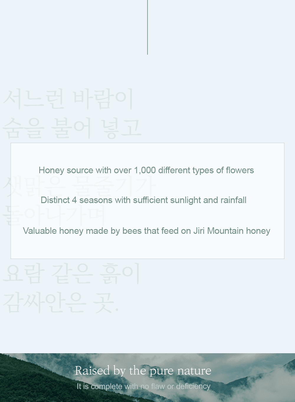 Honey Glow Cream Trio Set (50g*3ea)