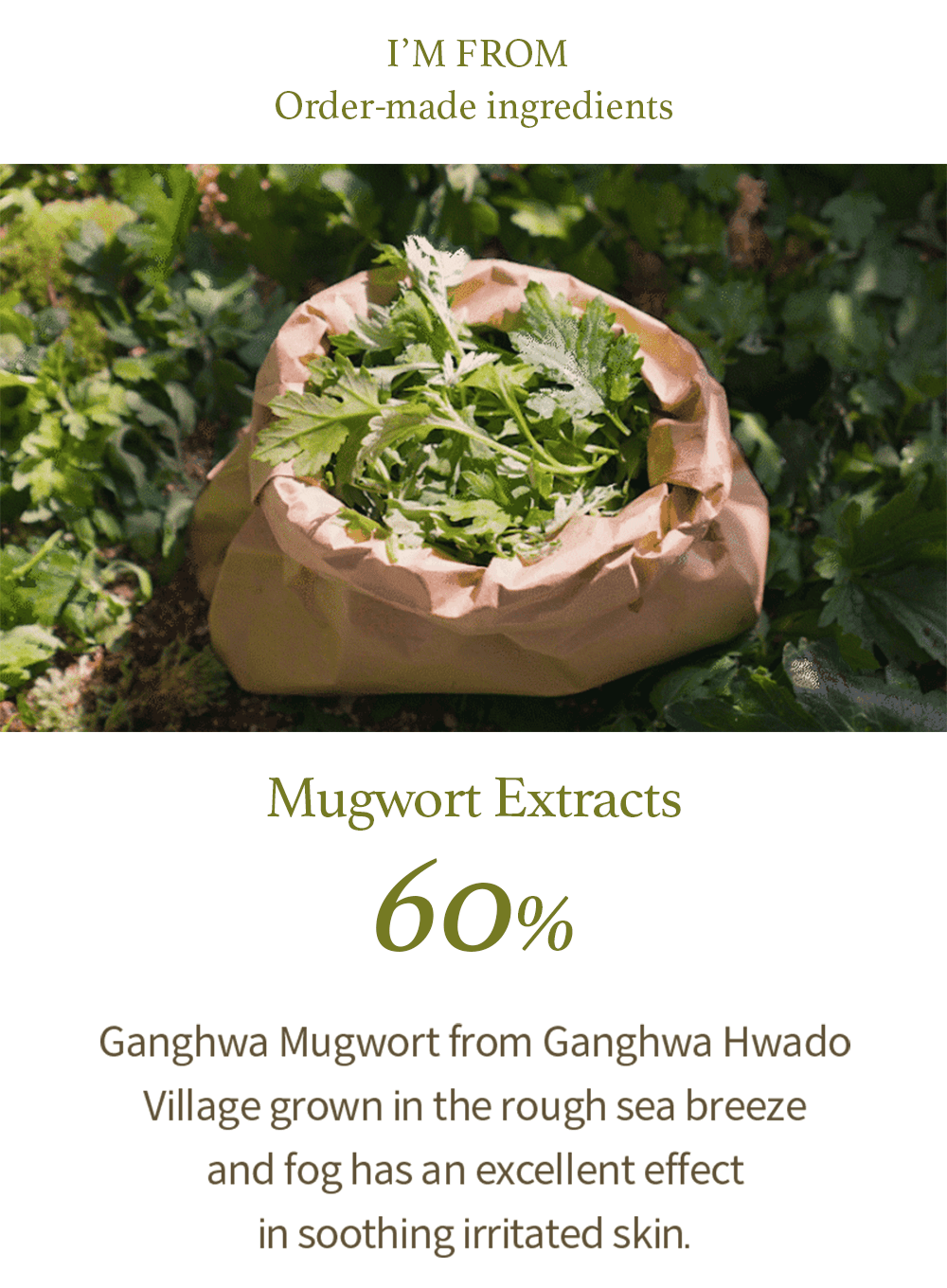 Mugwort Gel Cleanser (150ml)