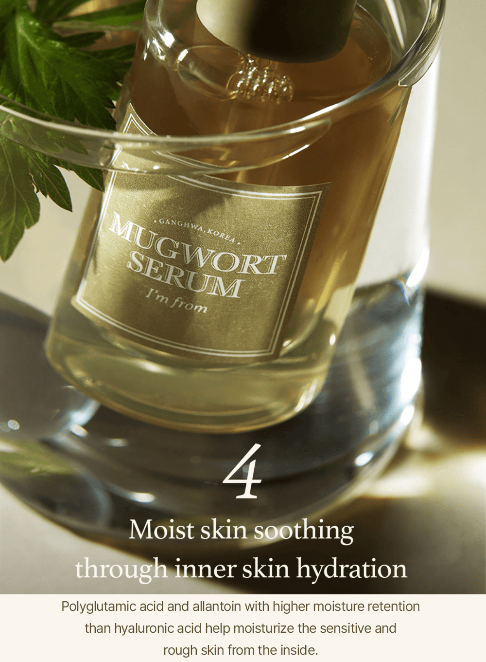 Mugwort Serum (30ml)
