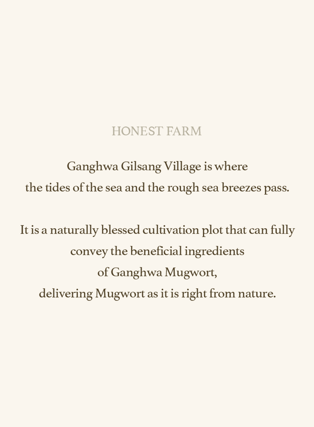 Mugwort Sheet Mask (23ml / 5ea)