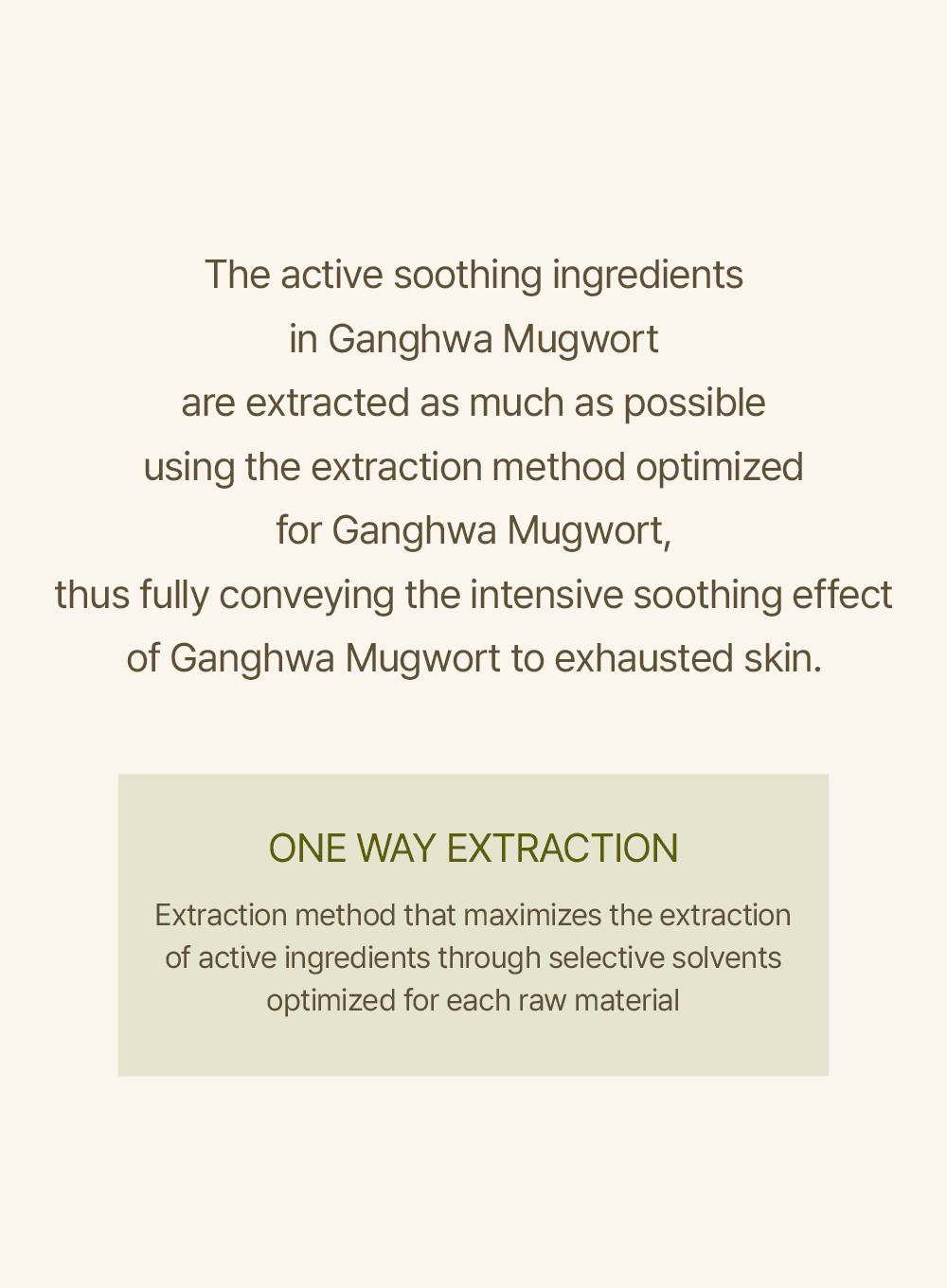 Mugwort Sheet Mask (23ml / 5ea)
