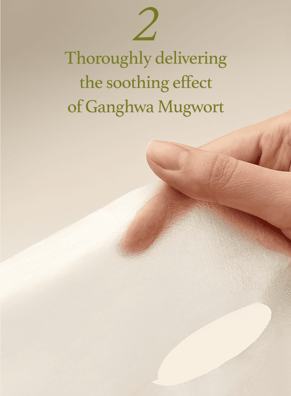 Mugwort Sheet Mask (23ml / 5ea)