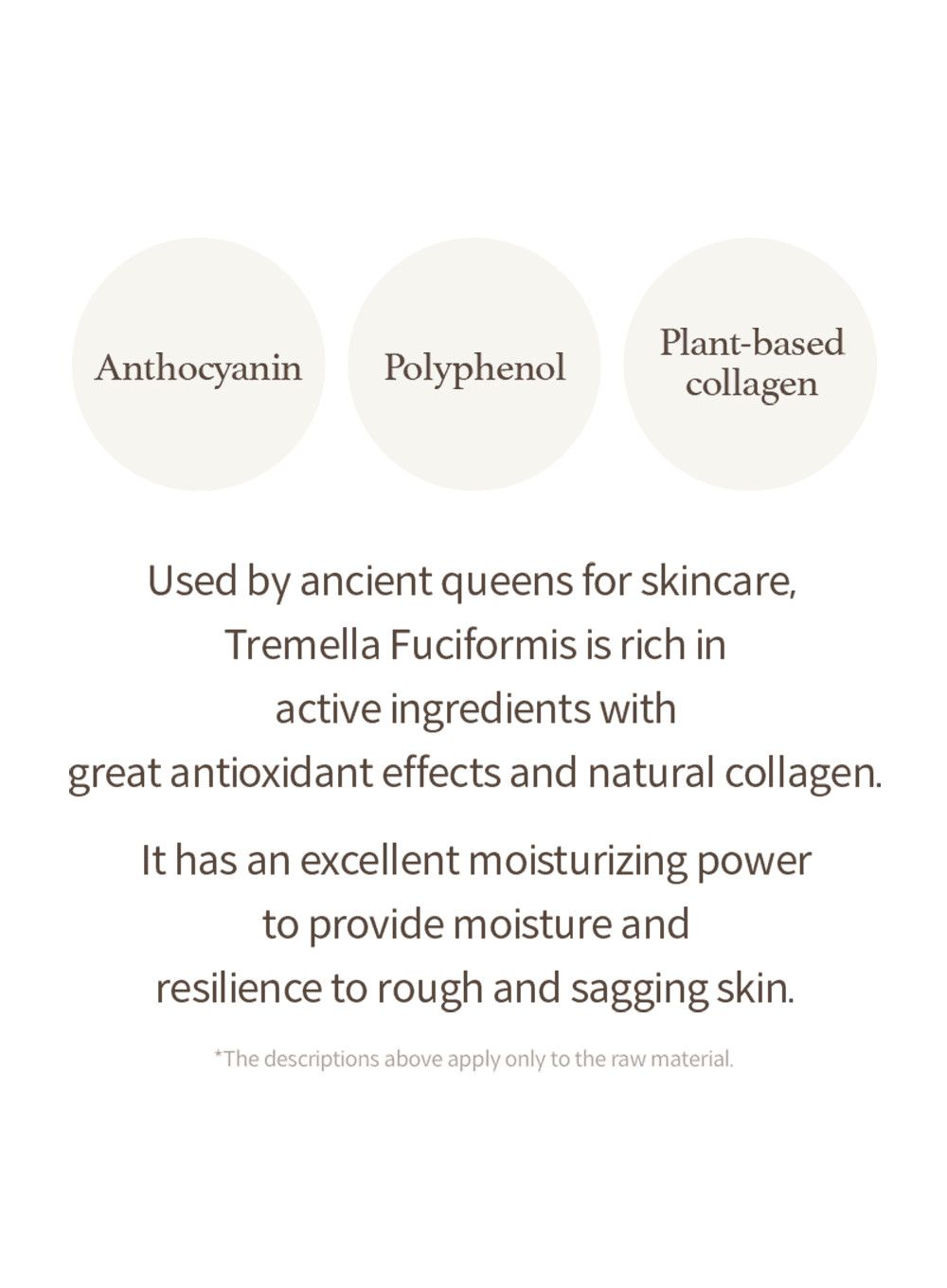Mushroom Collagen Ampoule (30ml)
