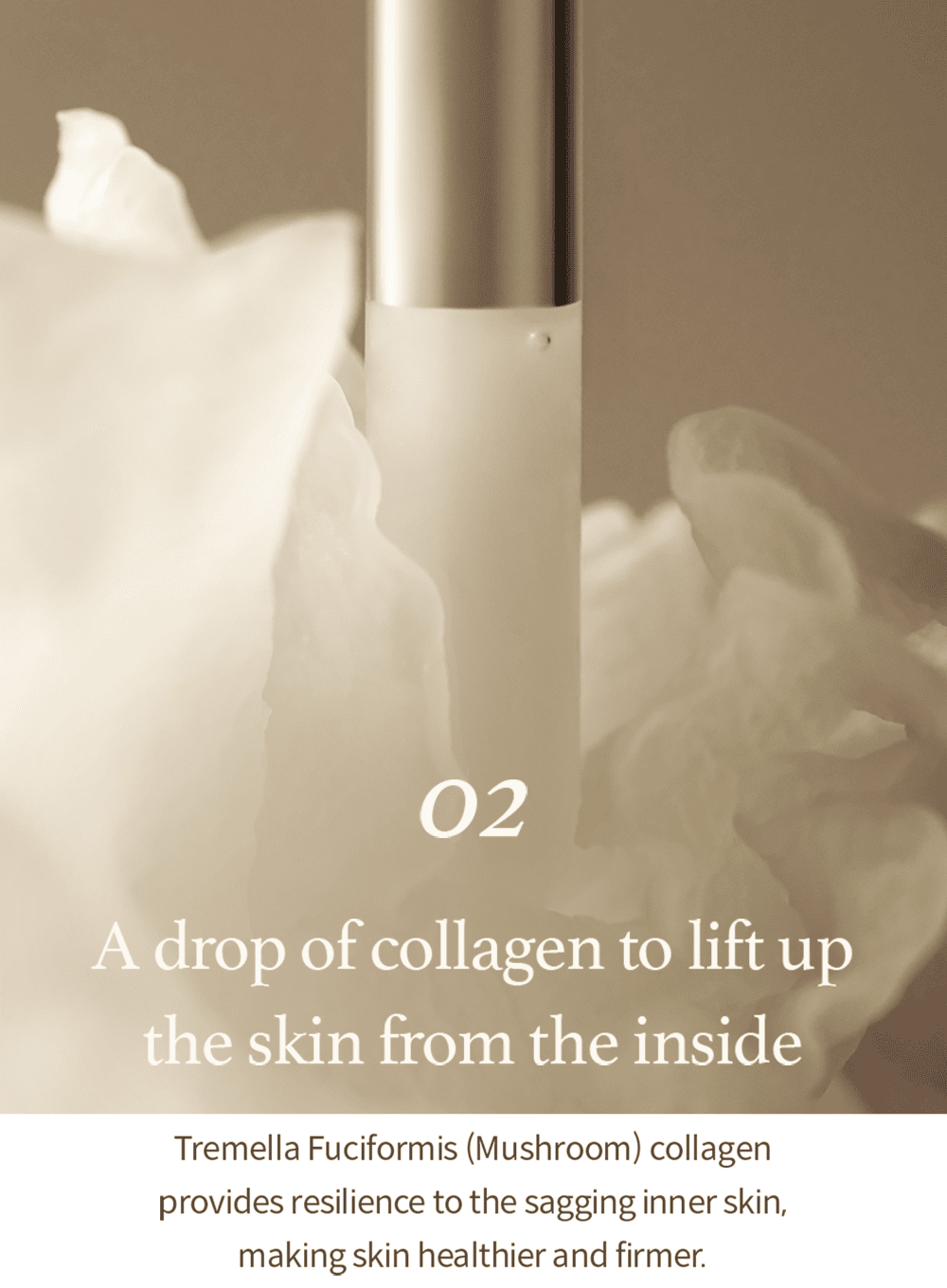 Mushroom Collagen Ampoule (30ml)