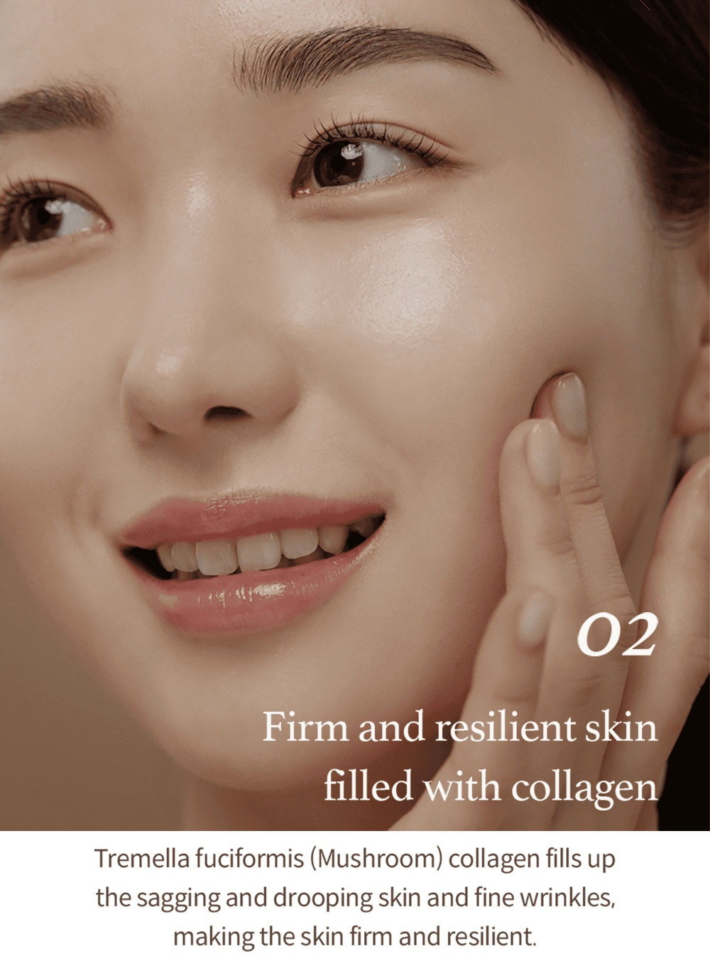 Mushroom Collagen Cream (50ml)