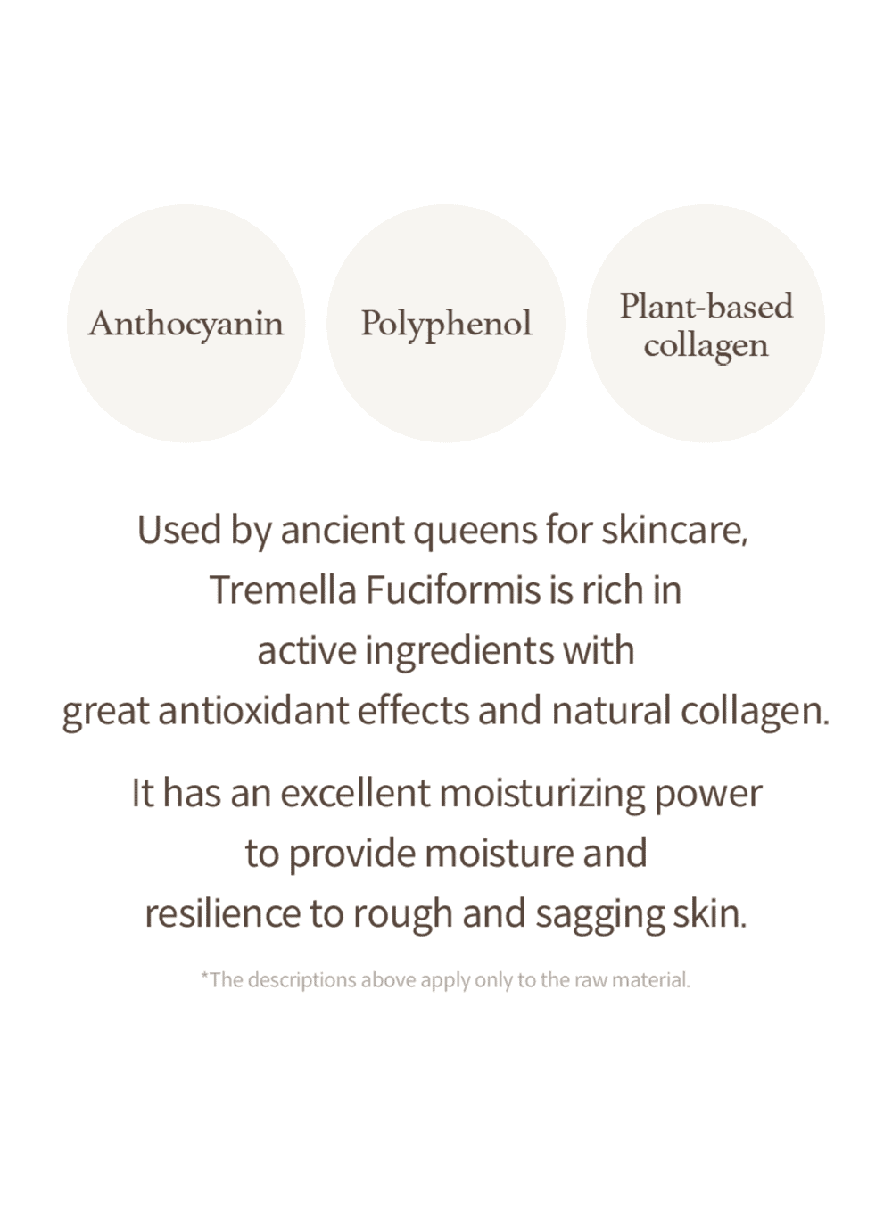 Mushroom Collagen Cream (50ml)