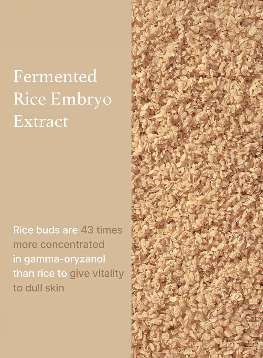 Rice Serum Duo Set (30ml*2ea)