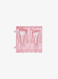 Pink Roll Brush Set (6pcs)
