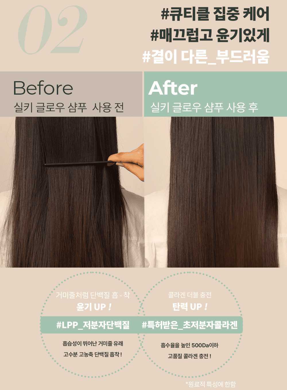 Silky Glow Shampoo (400ml)